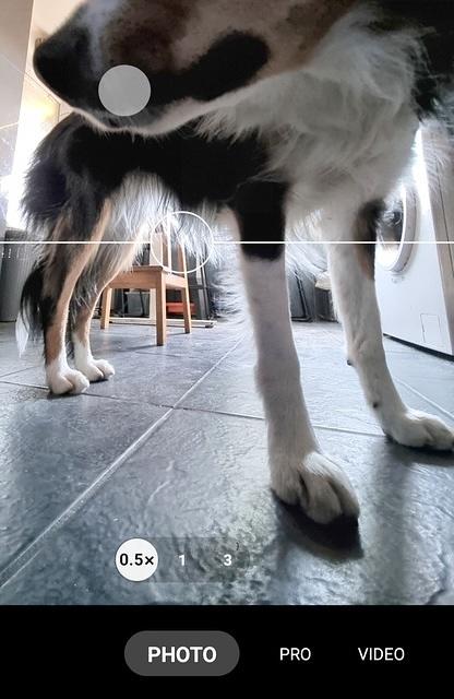 Screenshot 20230213 095650 Camera