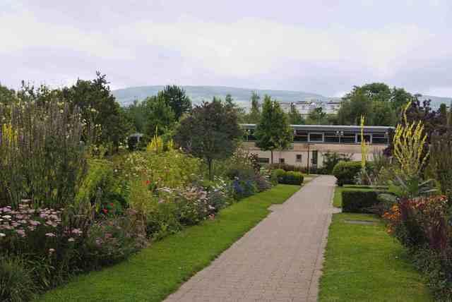 DSC 5599