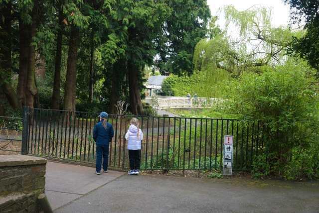 DSC 1357