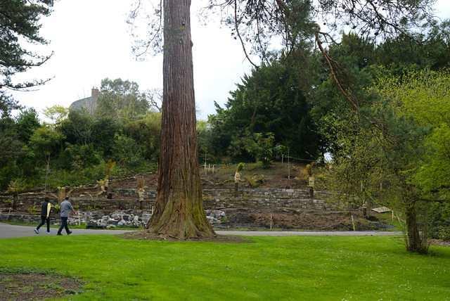 DSC 1381