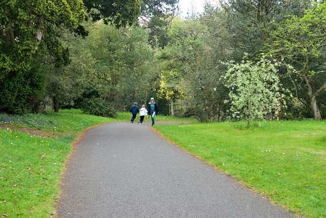 DSC 1417