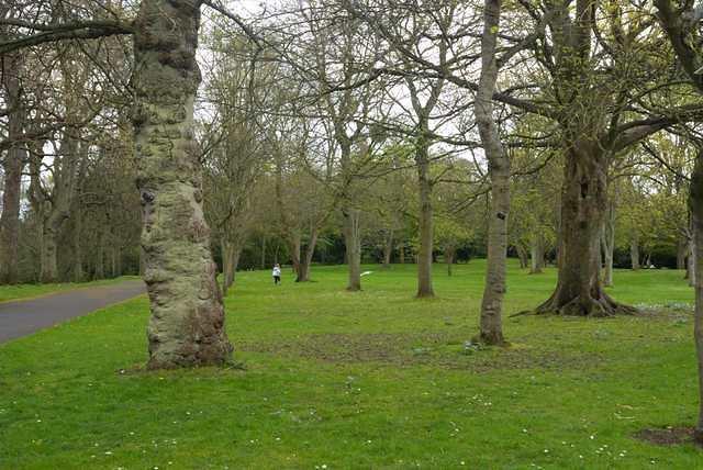 DSC 1426