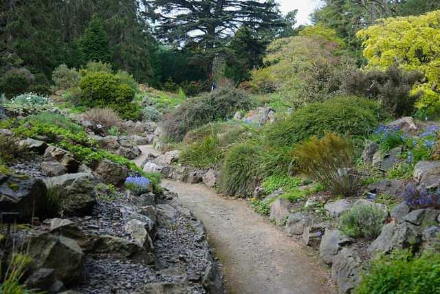 DSC 1573