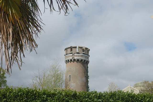 DSC 1625