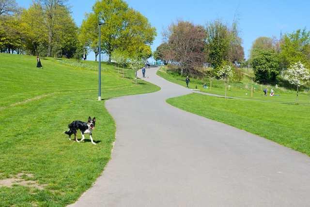 DSC 1900