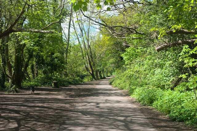 DSC 1947