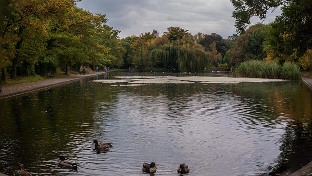 Untitled Panorama3