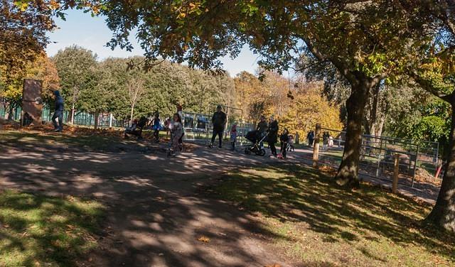 Untitled Panorama6