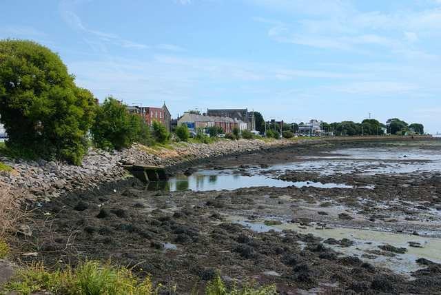 DSC 3896