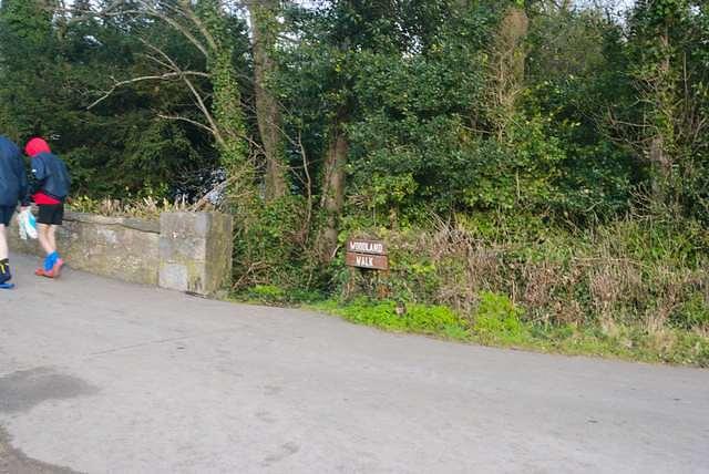 DSC 3653