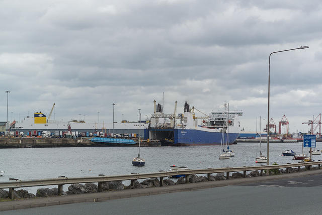 DSC 1825