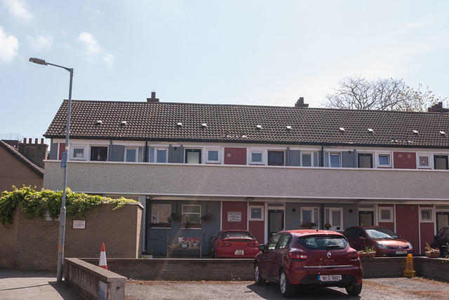 DSC 8984