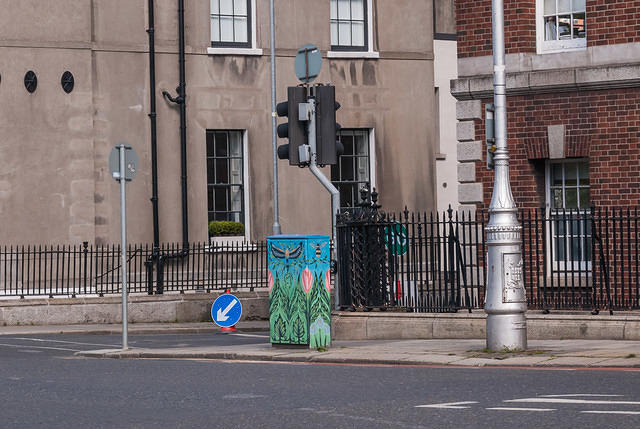 DSC 9004