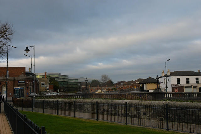 DSC 0595