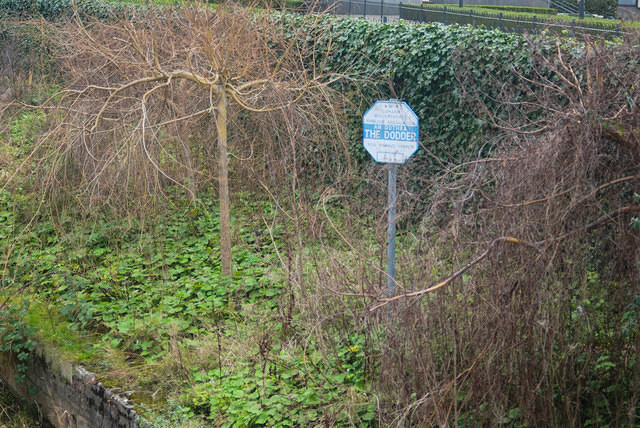 DSC 0599