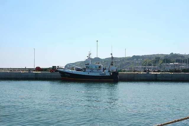 DSC 3699