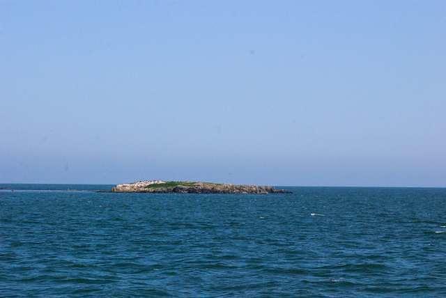 DSC 3774