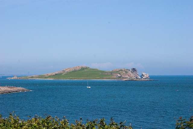DSC 3817