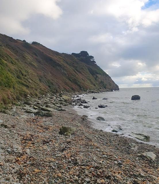 IMG-20231130-WA0003
