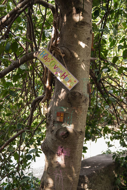 DSC 8651