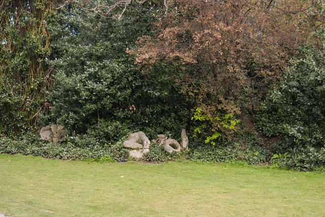 DSC 8755