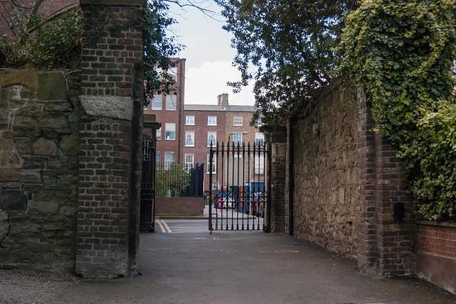 DSC 8762