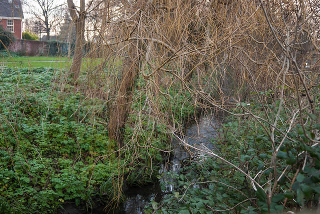 DSC 7140
