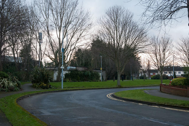 DSC 7143