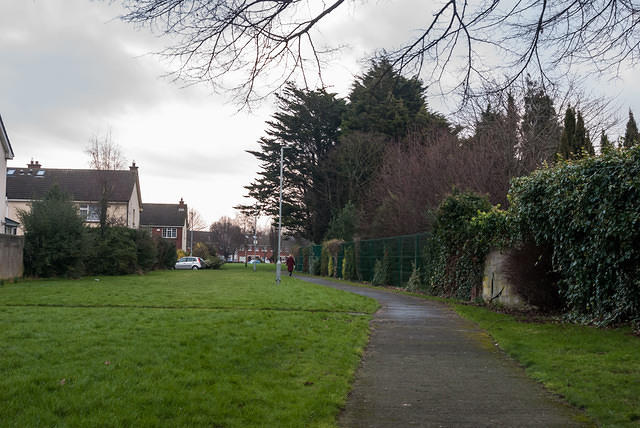 DSC 7151