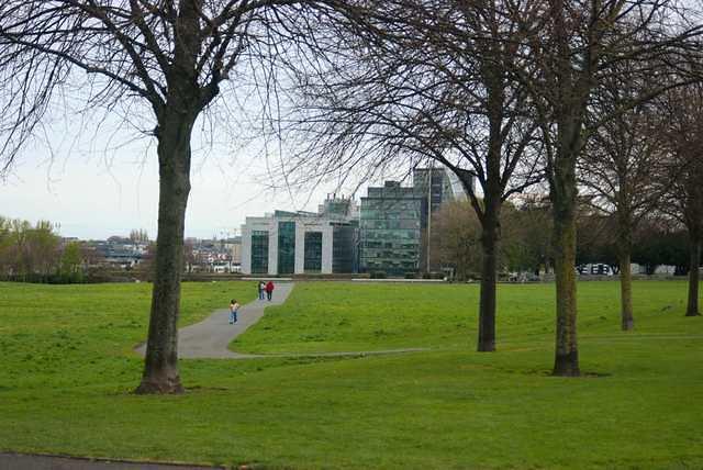 DSC 1180