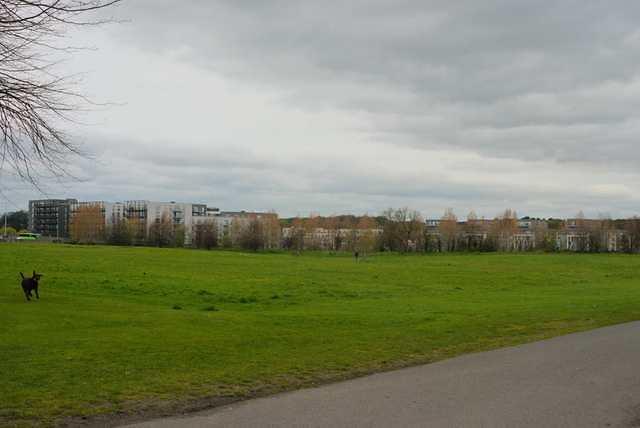 DSC 1197