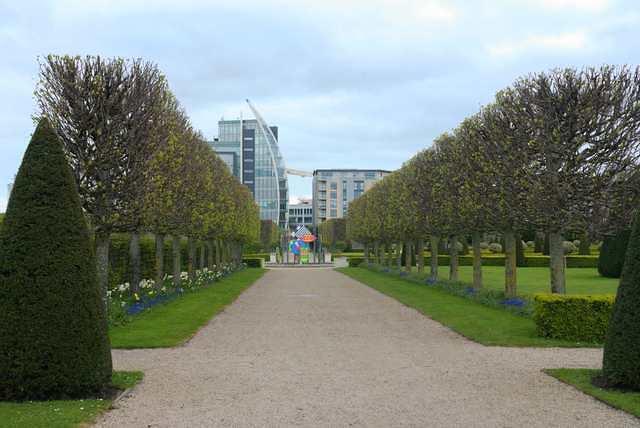 DSC 1306