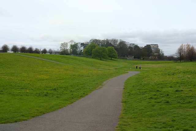 DSC 1313