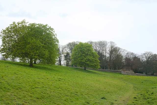 DSC 1314