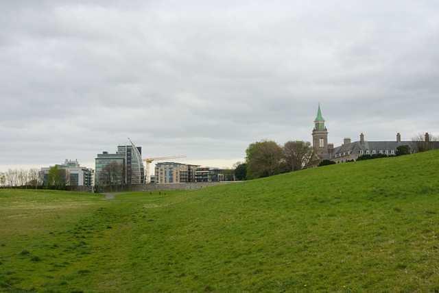 DSC 1316