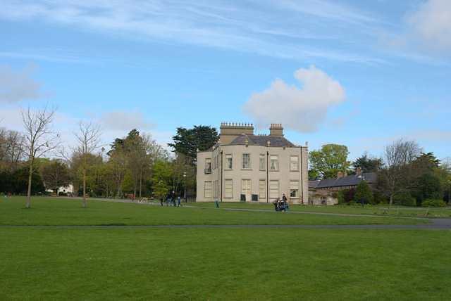 DSC 1650