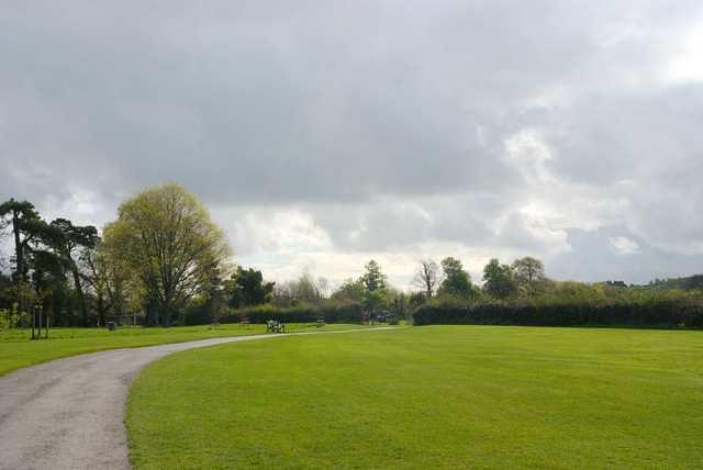 DSC 1653