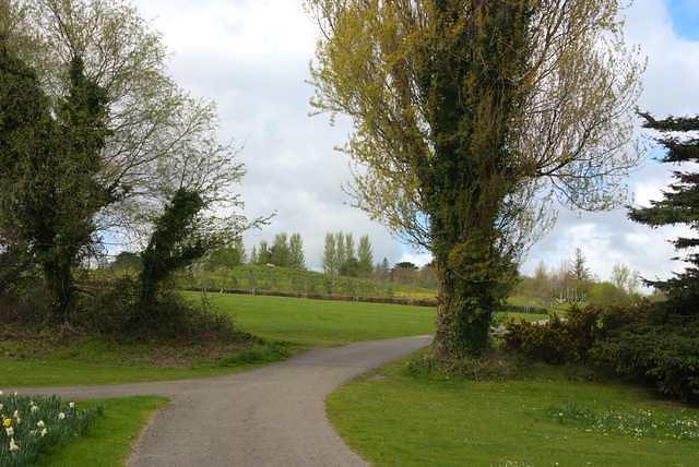 DSC 1709
