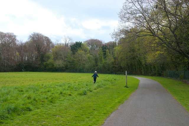 DSC 1713
