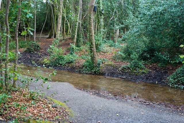 DSC 1724
