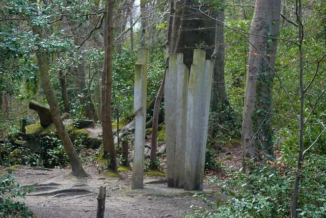 DSC 1730