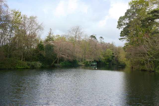 DSC 1755