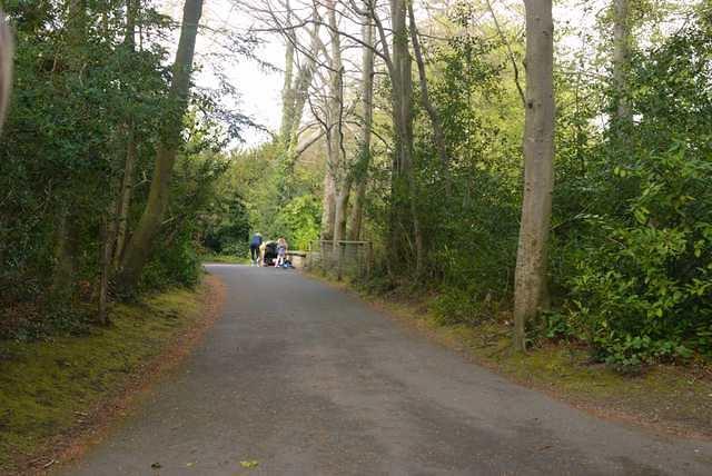 DSC 1764