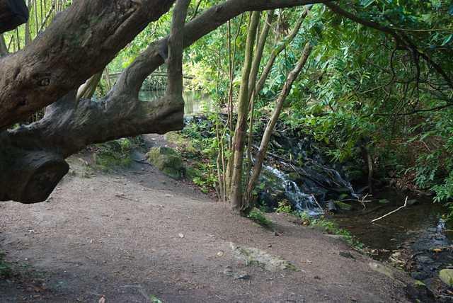 DSC 1772