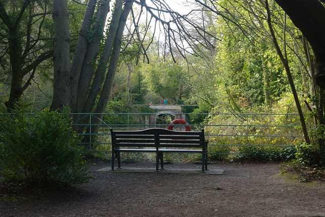 DSC 1773