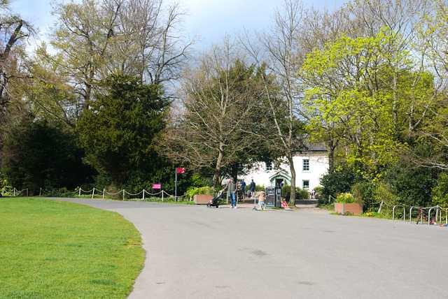 DSC 1785