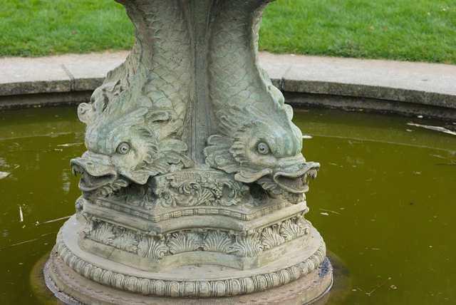 DSC 1845