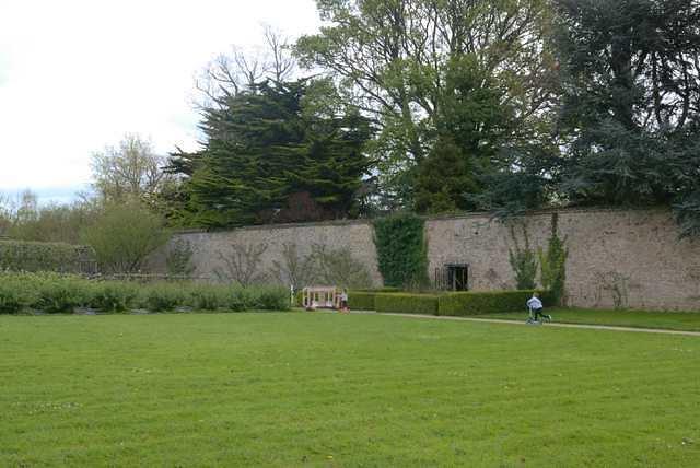 DSC 1856