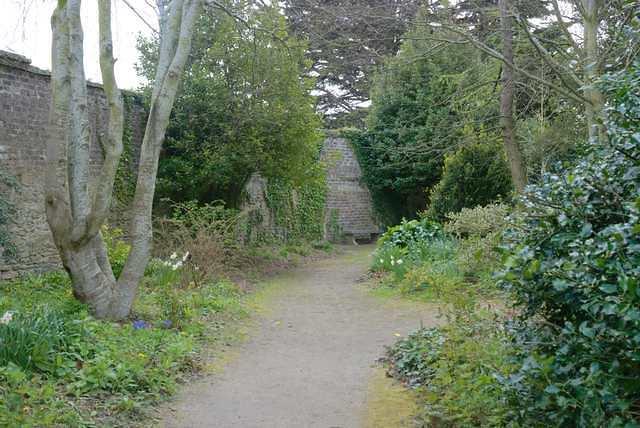 DSC 1859