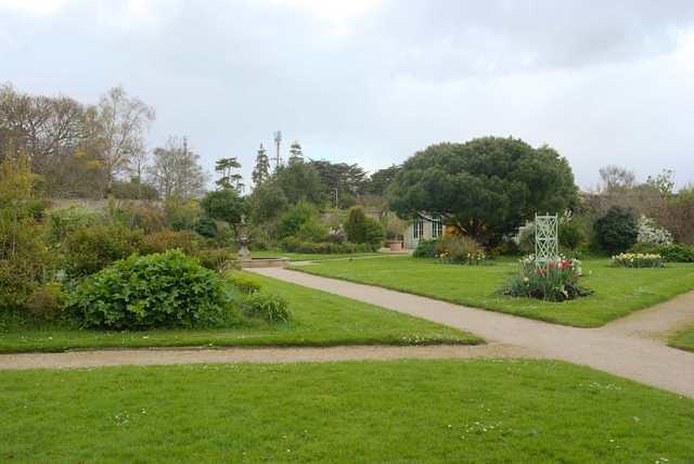 DSC 1861